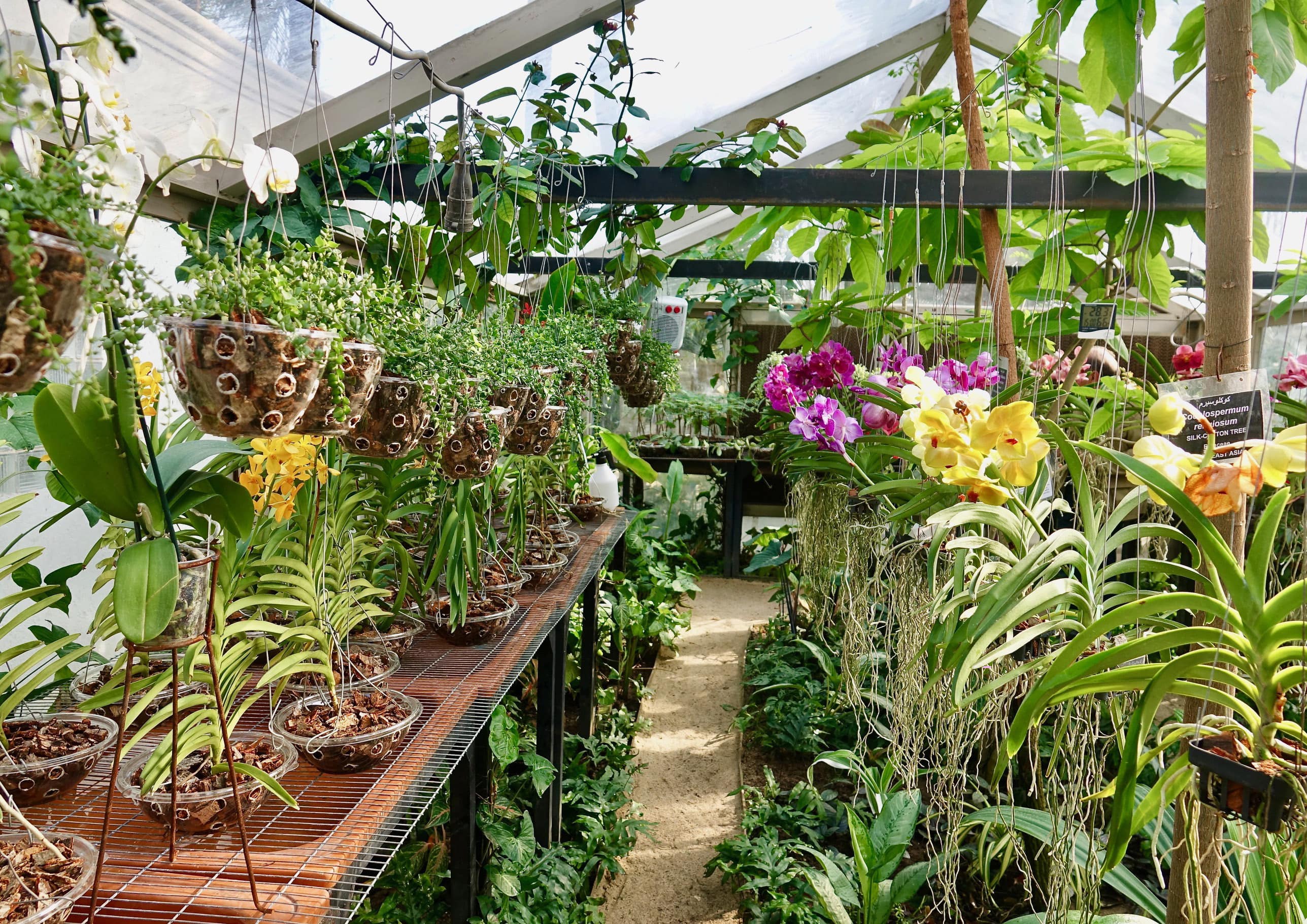 Mazhar Botanic Garden image